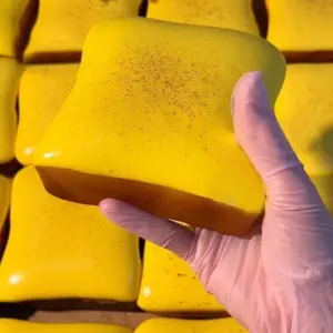 Buttered Toast Squishy — Glossy Slow-Rise Slice